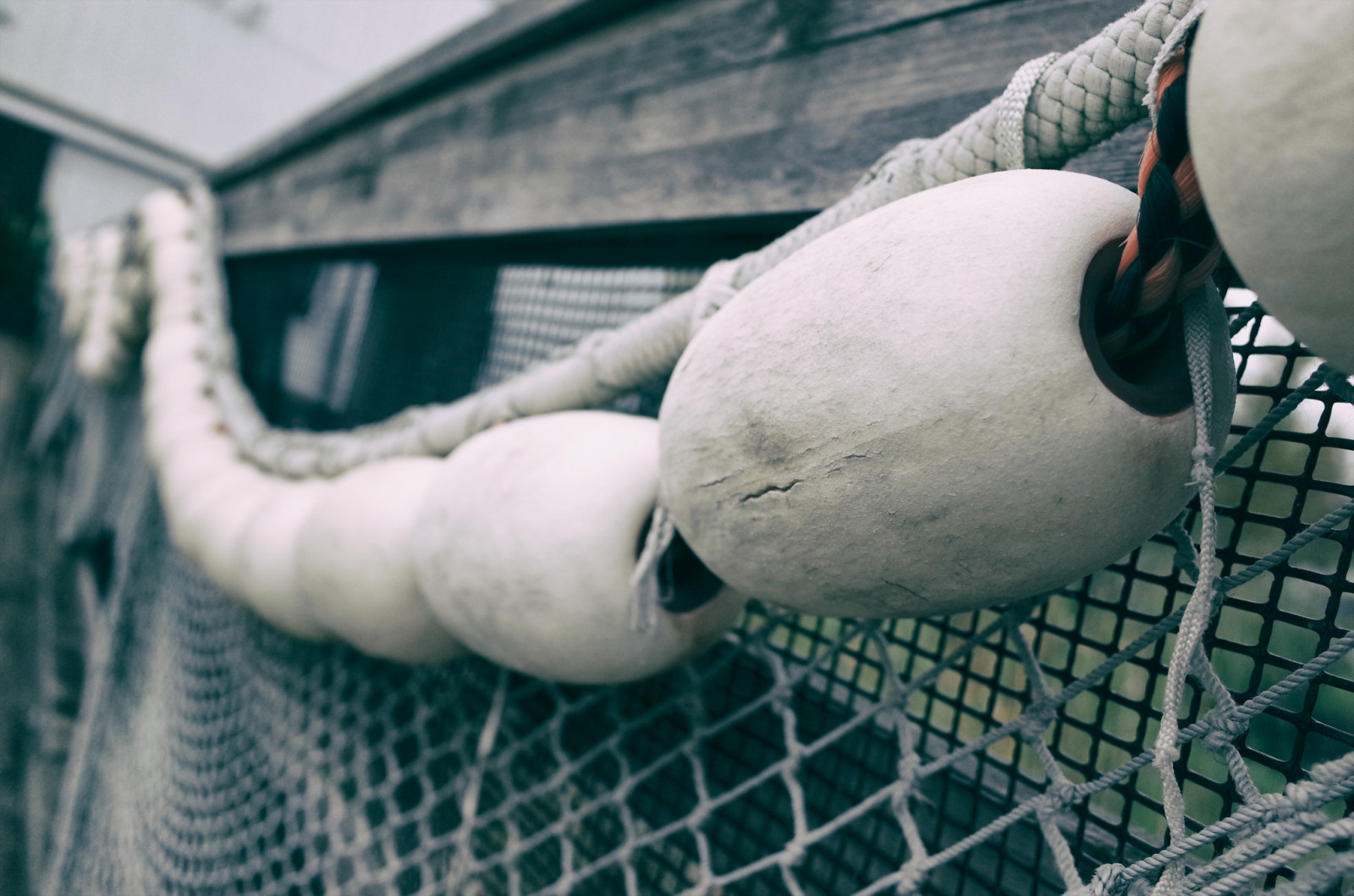Wallpaper Canada, foam, bokeh, fishing, hand, net, bc, detail