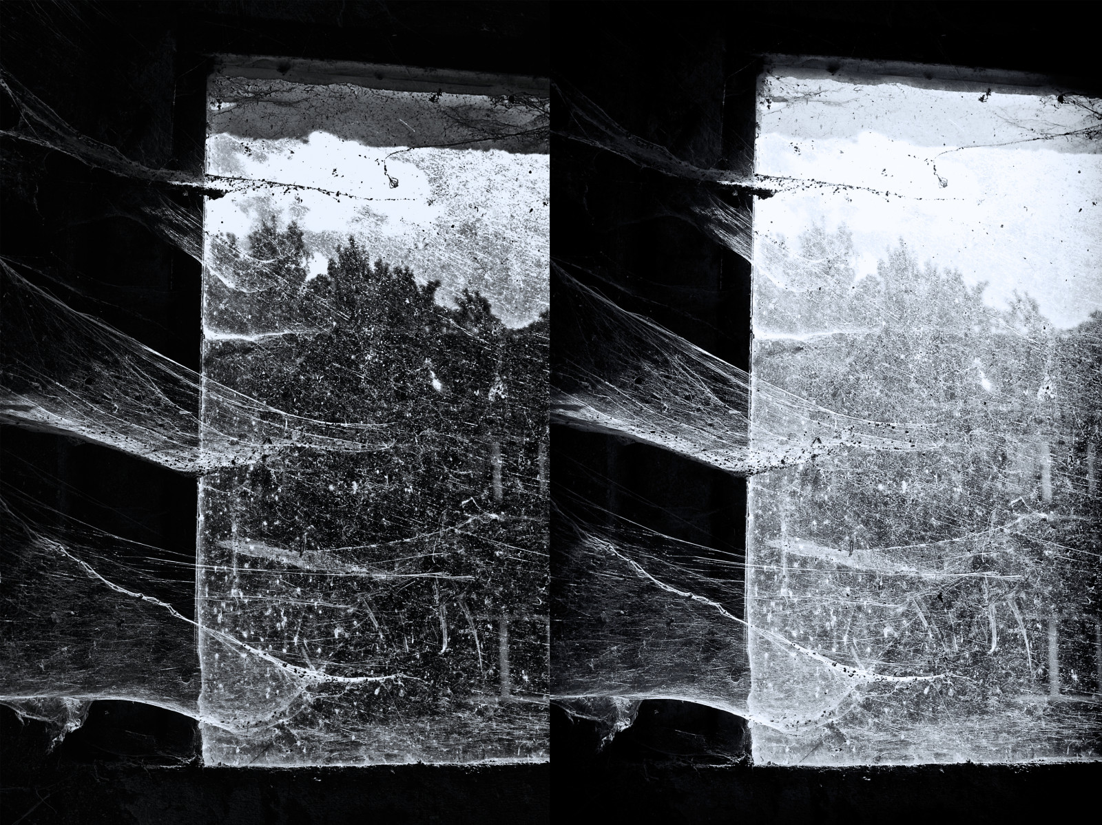 Černá, černobílý, okno, voda, Příroda, opuštěný, textura, Sony, světlo, Černý a bílý, carlzeiss, uNESCO, tma, melancholie, Černý a bílý, monochromatické fotografování, variosonnart28222470, dyptich, Biospherereserve, Pavučina, Schorfheidechorin, Spiderwebbs, Biospha renreservat, Blumbergermu hle, stock photography