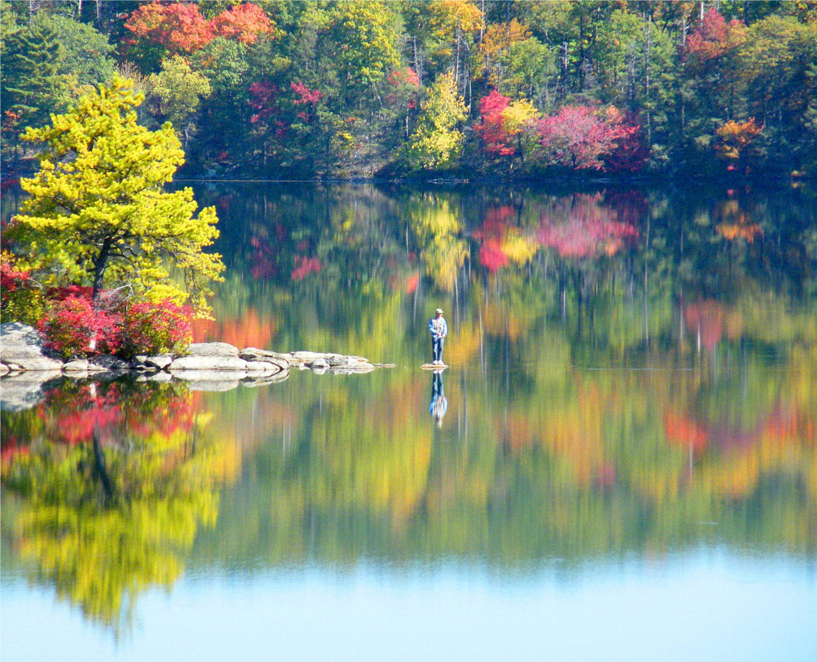 stromy, krajina, jezero, voda, Příroda, Červené, odraz, tráva, nebe, park, větev, zelená, žlutý, seasons, řeka, rybník, Osoba, banka, rybolov, Al, mokřadní, Krásná, strom, podzim, list, barvy, rostlina, muž, vodní tok, vegetace, nádrž, abigfave, colorphotoaward, odlesky, bayou, tělo z vody, opadavý, národní park, rybník, top20colorpix, vodní zdroje, Sterlinglake, lacustrine plain