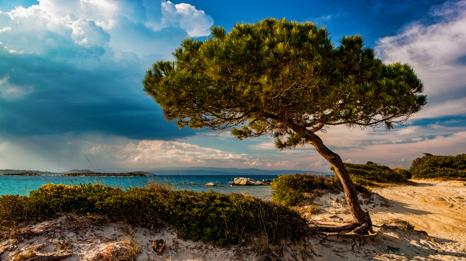 baum, pláž, Bomen, výložník, Baume, Chalcidice, Chalkidike, chalkidiki, coastalline, pobřežní čára, Ellas, flóra, Grece, Řecko, Griechenland, griekenland, halkidiki, hellas, Heuvel, kustlijn, k stenlinie, krajina, Landschaft, Landschap, mediterraneanstonepine, natur, Příroda, natuur, parasolden, borovice, borovice, pinie, Pinus, pinuspinea, praha, Praia, Sandstrand, písečná pláž, scenérie, Sithonia, stonepine, pramen, strom, vourvourou, Zandstrand, modrý, zelená, moře, mrak, mraky, Karidi, karidibeach, Páni