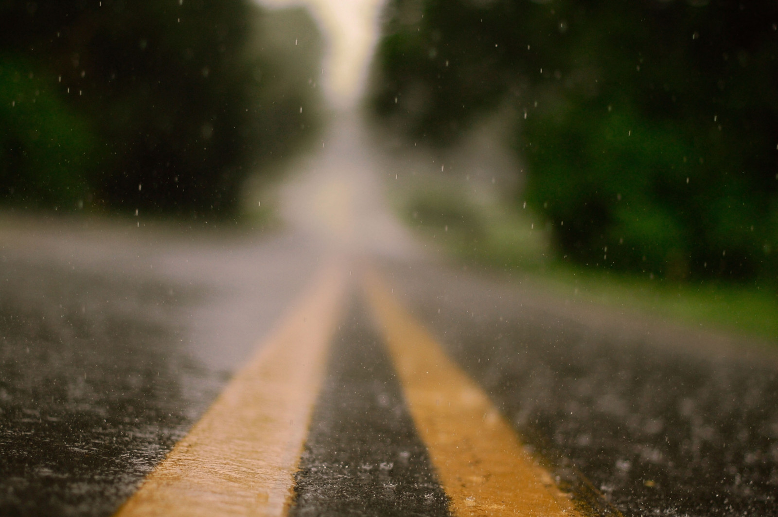 sollys, landskab, Skov, gade, vand, natur, græs, himmel, regn, vej, morgen, atmosfære, Nikon, våd, asfalt, Fokus, lys, træ, regndråber, plaske, dOF, fortov, klar, nikond40, vejbelægning, noellebuskephotography, fænomen, noellebuske