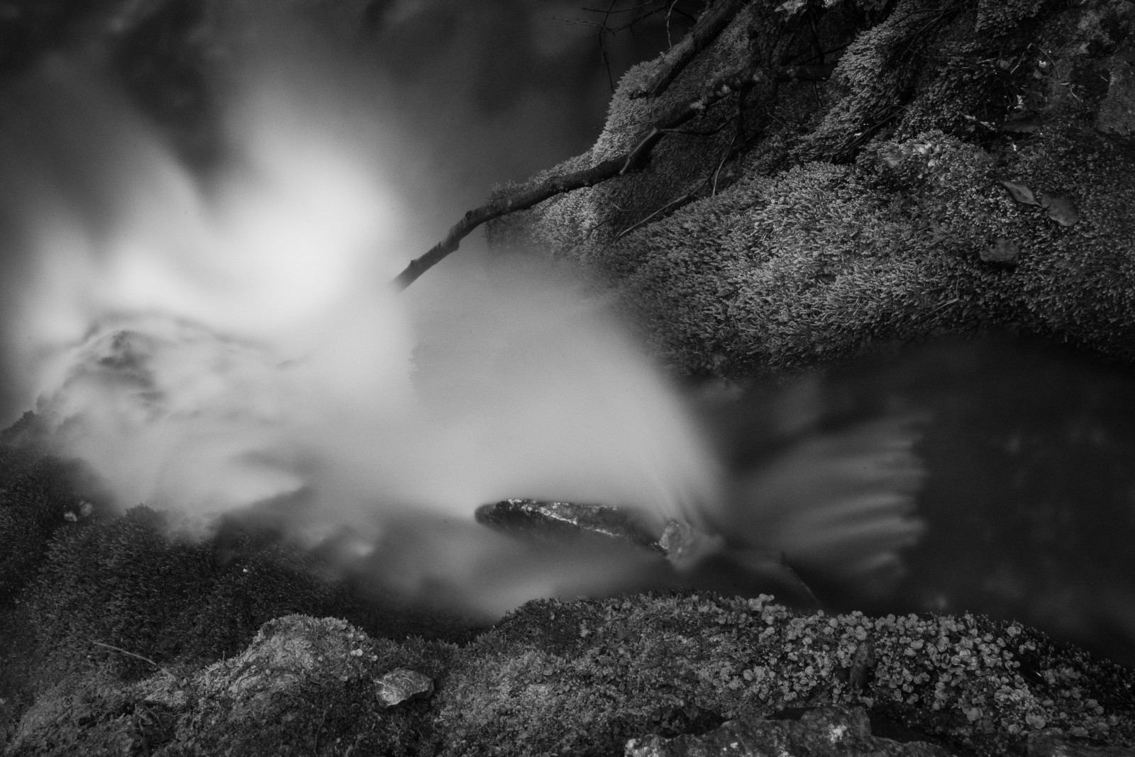 sollys, Skov, hvid, sort, monokrom, klippe, natur, sne, vinter, fotografering, Nikon, lys, D750, Sky, træ, blad, mørke, noiretblanc, poselongue, atmosfærisk fænomen, sort og hvid, monokrom fotografering, makrofotografering, kilde, longueexposure