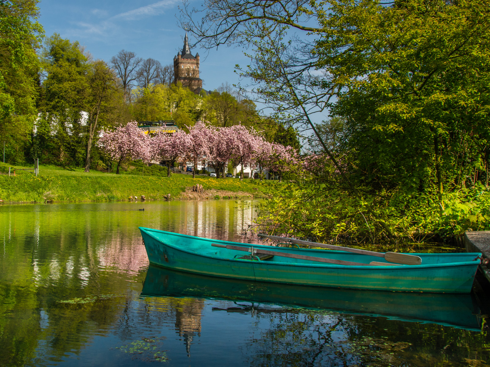 odraz, Německo, krajina, deutschland, bota, loď, Třešňový květ, Landschaft, spiegelung, třešeň, jaro, Fruhling, Niederrhein, kirschbl te, Kirschbaum, Kleve, Schwanenburg, spoykanal