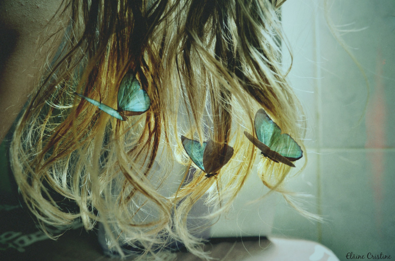 blond, fotografering, grøn, gul, blå, hår, Nikon, fantasi, årgang, mine, Mundo, Elaine, KUNST, farve, flickr, blomst, dage, øje, mig, retro, film, 365, selv, Fotografia, kerner, D5100, identitet, cabelos, organ, tæt på, makrofotografering, delicada, Poesia, ideia, borboletas, loiros, sensivel, lomogracinha, cristiva