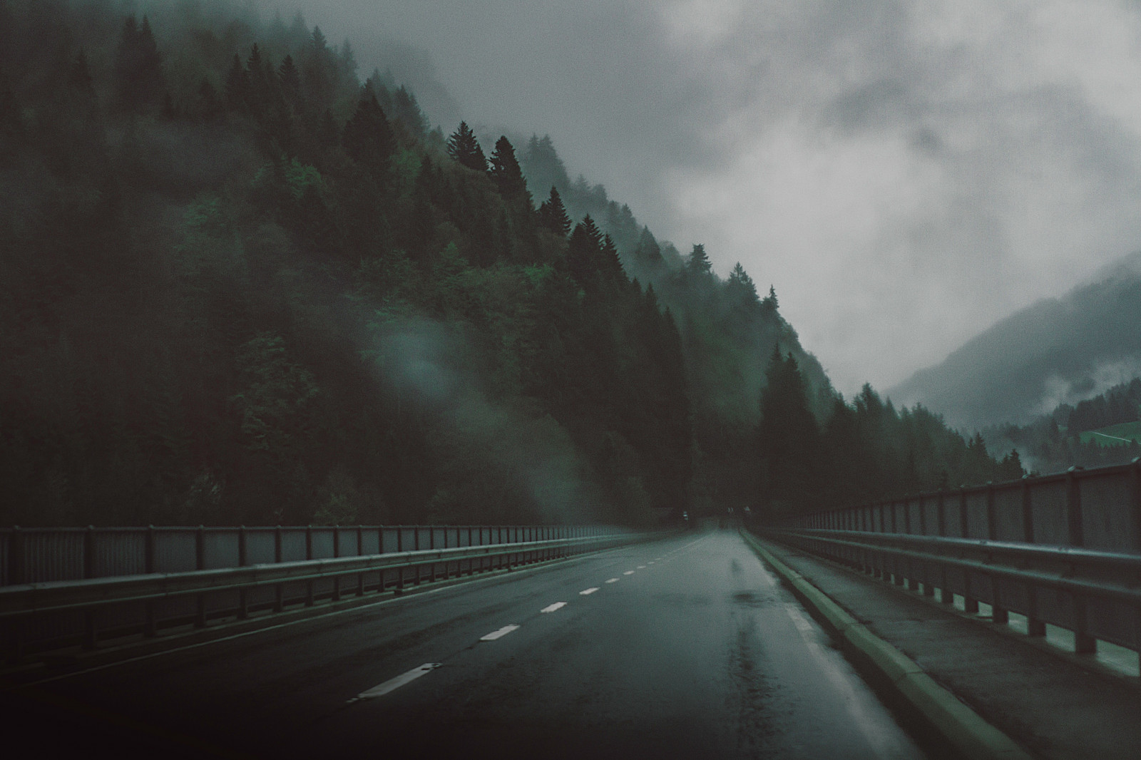 Bäume, Straße, Morgen, Nebel, Brücke, Atmosphäre, Autobahn, Dunst, Infrastruktur, Wolke, Nebel, Wetter, Dunkelheit, Bildschirmfoto, Atmosphärisches Phänomen, Ausflug