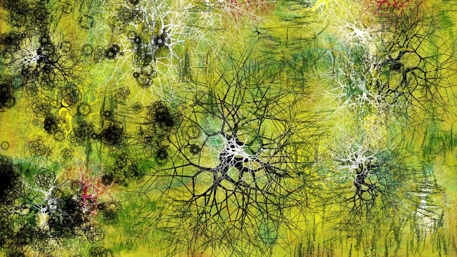 sollys, Skov, Digital kunst, abstrakt, natur, afspejling, kunstværk, afdeling, grøn, cirkel, linjer, sump, birk, vådområde, træ, efterår, blad, blomst, plante, sæson, flora, eng, wildflower, 1920x1080 px, skov, levested, naturligt miljø, botanik, vedplante, økosystem, biom, løvfældende, lærk
