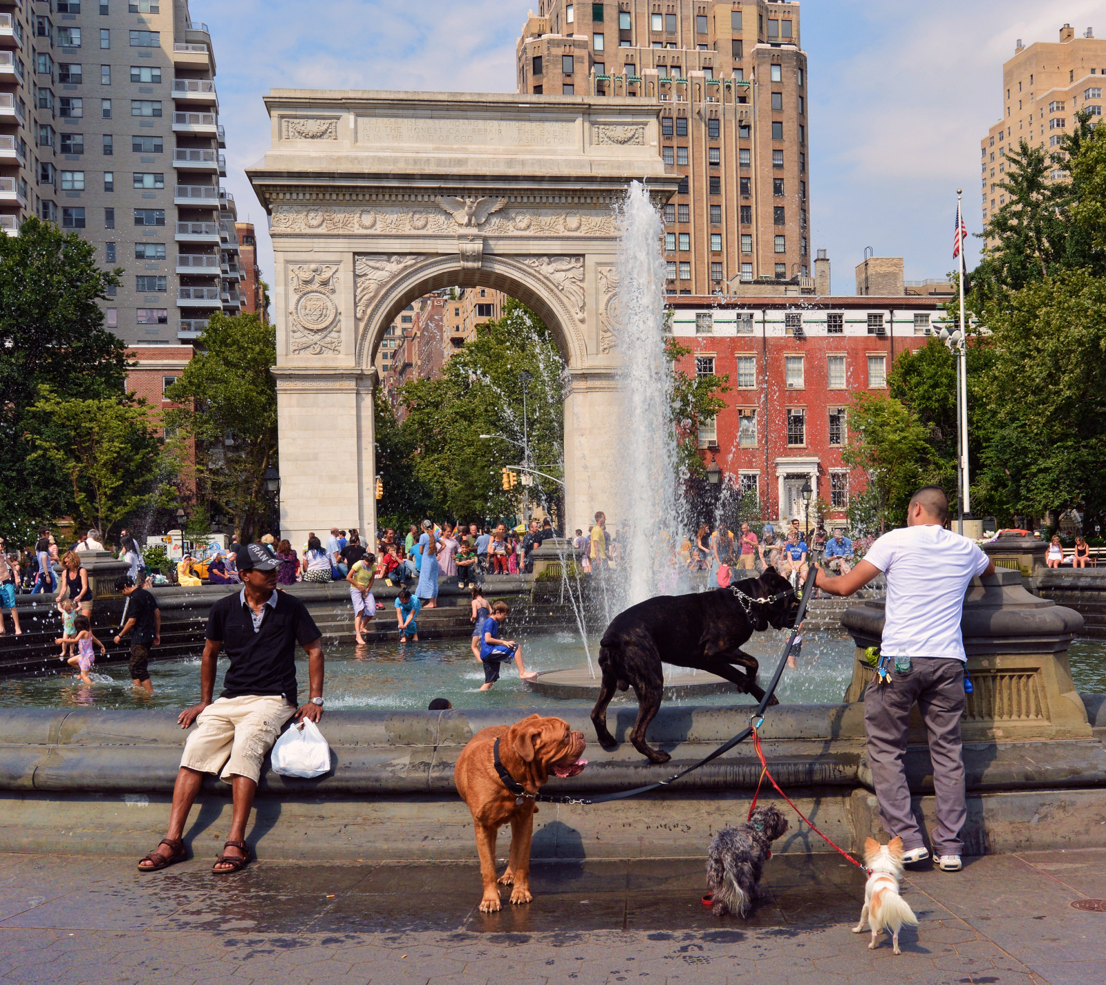 park, nyc, letní, newyork, psi, kašna, budovy, venku, centrum, panoráma města, oblouk, Manhattan, Newyorčan, Washingtonsquare, Greenwich Village, cityscene, crowdscene, newyorkphoto, Newyorkscene