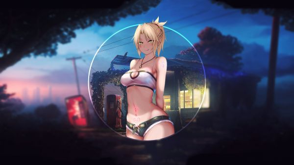 Fate Stay Night Unlimited Blade Works,Lancer Fate Grand Order,Fate Zero,Fate kaleid liner Prisma Illya,Ruler Fate Apocrypha,Astolfo Fate Apocrypha