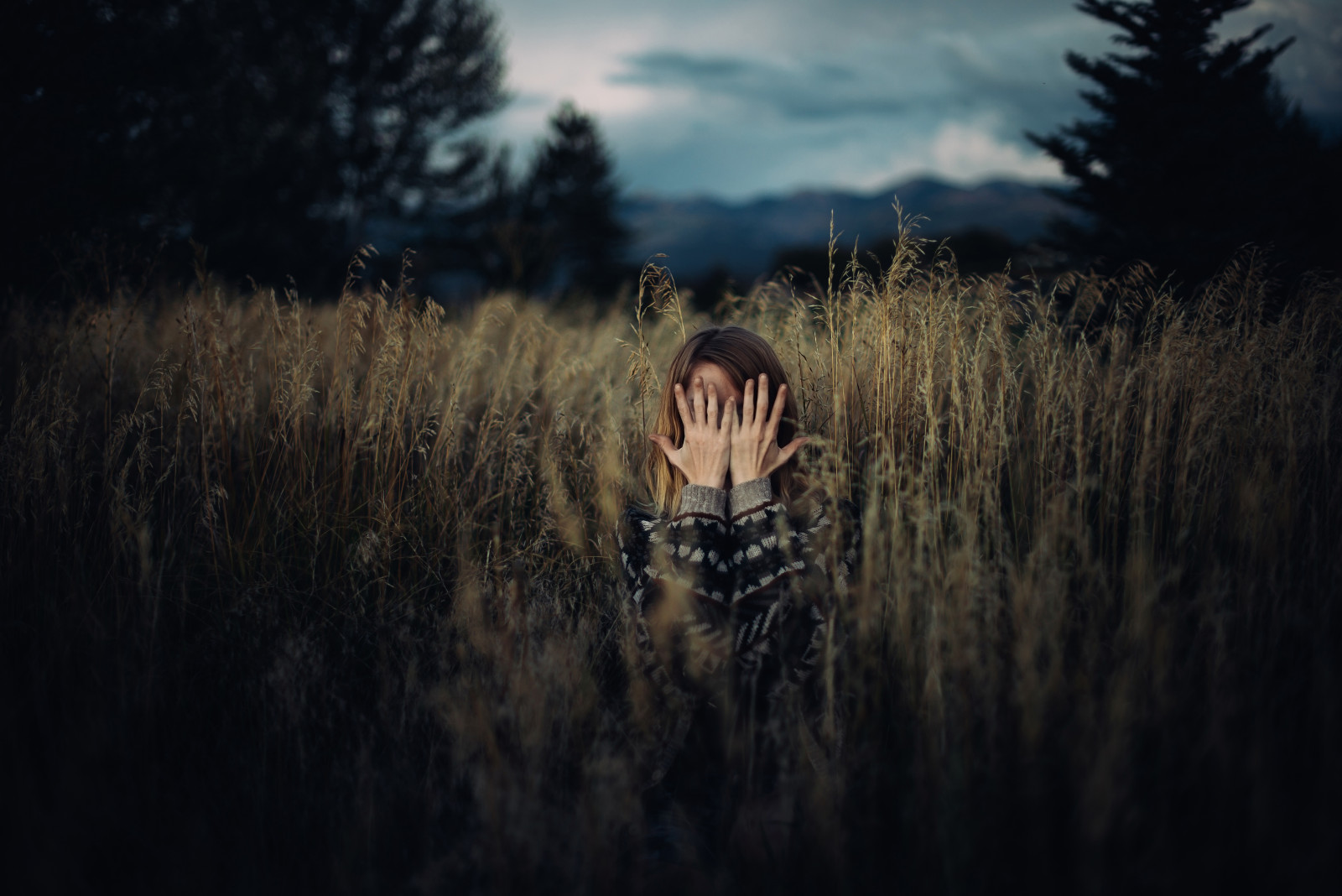 slunečnímu záření, krajina, les, hory, ruce, noc, Příroda, tráva, nebe, pole, fotografování, bouřka, večer, svetr, atmosféra, soumrak, Colorado, pšenice, půlnoc, mrak, strom, hora, rostlina, dívka, vysoký, tma, 365, autoportrét, Snímek obrazovky, počítač tapeta, tráva rodina, meteorologický jev, jev, 365dayproject, frustrovaný, stock photography