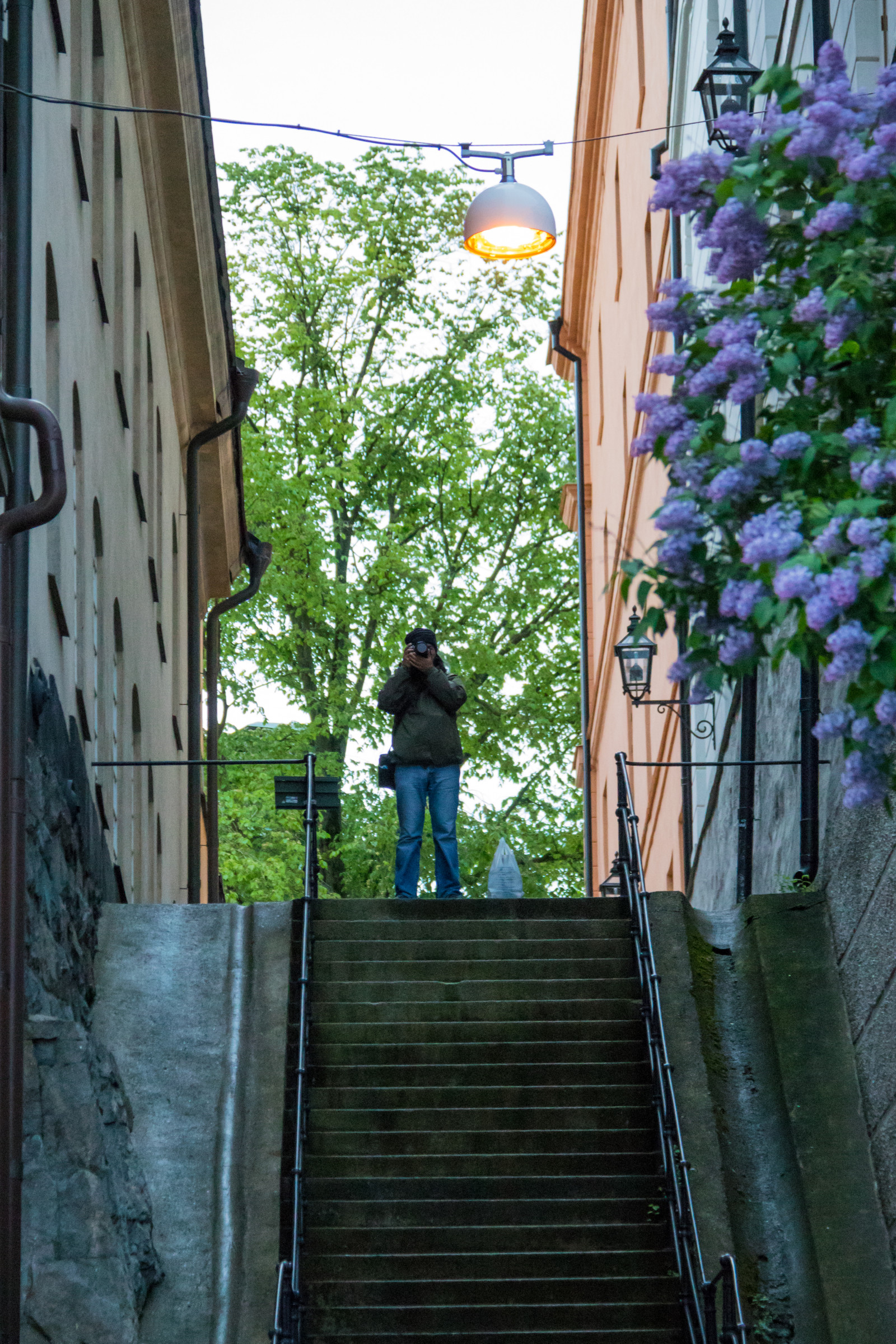 lidé, okno, ulice, stěna, silnice, Dům, modrý, Stockholm, schody, jaro, šeřík, UMĚNÍ, strom, květ, alej, m nniska, domů, attackfoto, attackfoto7, urban area