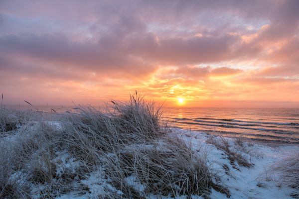 winter,cold,vinter,frost,Rime,geolocation