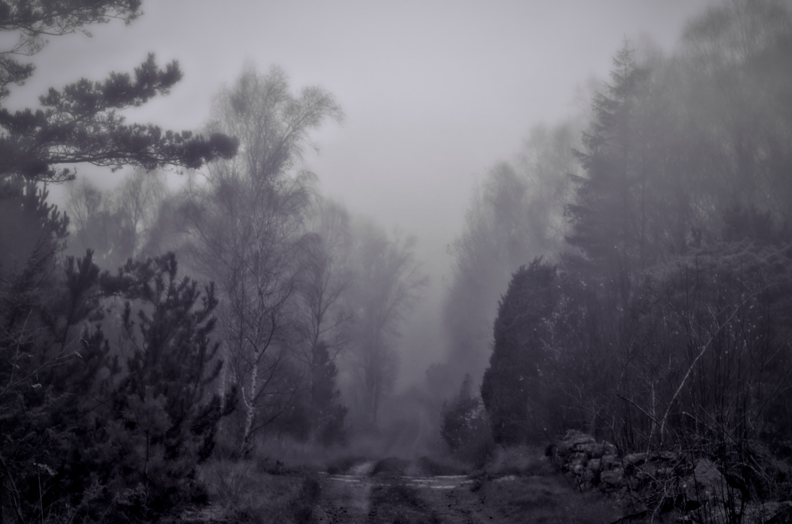 nebel englisch nebel englisch