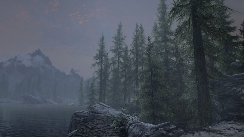 森林, ビデオゲーム, ミスト, Elder Scrolls V Skyrim, 荒野, 地形 森林, ビデオゲーム, ミスト, Elder Scrolls V Skyrim, 荒野, 地形