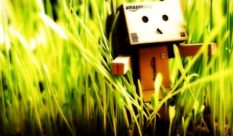 tráva, Danbo, rostlina, slunečnímu záření, pole, zelená tráva, Danbo, rostlina, slunečnímu záření, pole, zelená