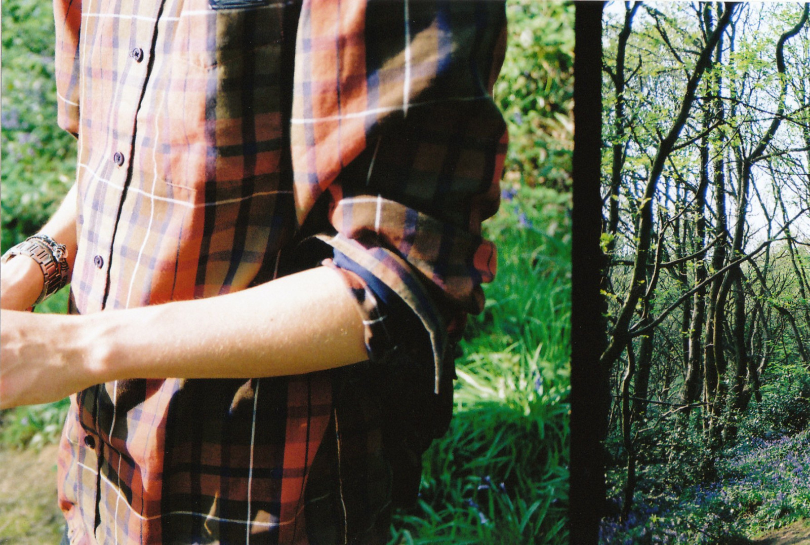 stromy, film, Alex, košile, 35MM, paže, pentax, kontrolovány, Gledwoods