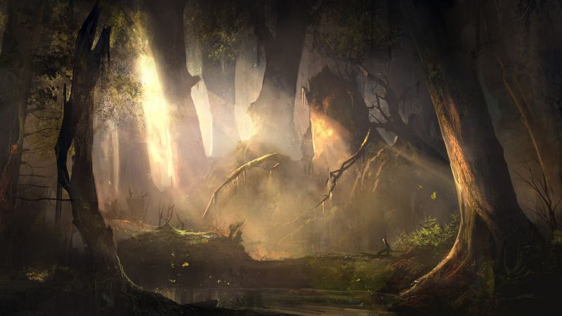 slunečnímu záření, les, fantasy umění, noc, odraz, umělecká díla slunečnímu záření, les, fantasy umění, noc, odraz, umělecká díla
