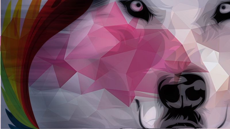 illustration, animals, fantasy art, anime, wolf, minimalism illustration, animals, fantasy art, anime, wolf, minimalism