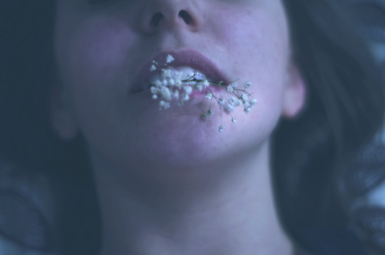 tvář, temný, květiny, noc, bruneta, fotografování, detailní, modrý, rty, zuby, pusa, nos, emoce, kůže, hlava, 50mm, stíny, oko, D7000, jazyk, ruka, prst, smysl, ret, nikond7000, krk, tváře, ucho, Lidské tělo, orgán, zblízka, interakce, nikkor50mm, queenanneslace, megreilly