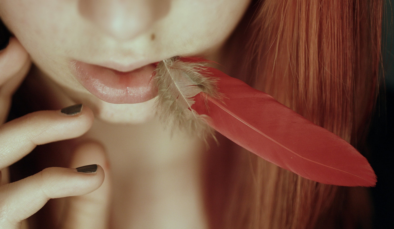 tvář, Červené, peří, Kánon, oranžový, rty, pusa, kůže, hřebíky, prsty, umělý, rebel, měkký, dívka, ruka, nehet, Pírko, prst, 365, ret, krk, projekt, chochol, tvář, ucho, obočí, zblízka, řasa, canonrebelxsi, lak na nehty, čelist, piha, změkčit