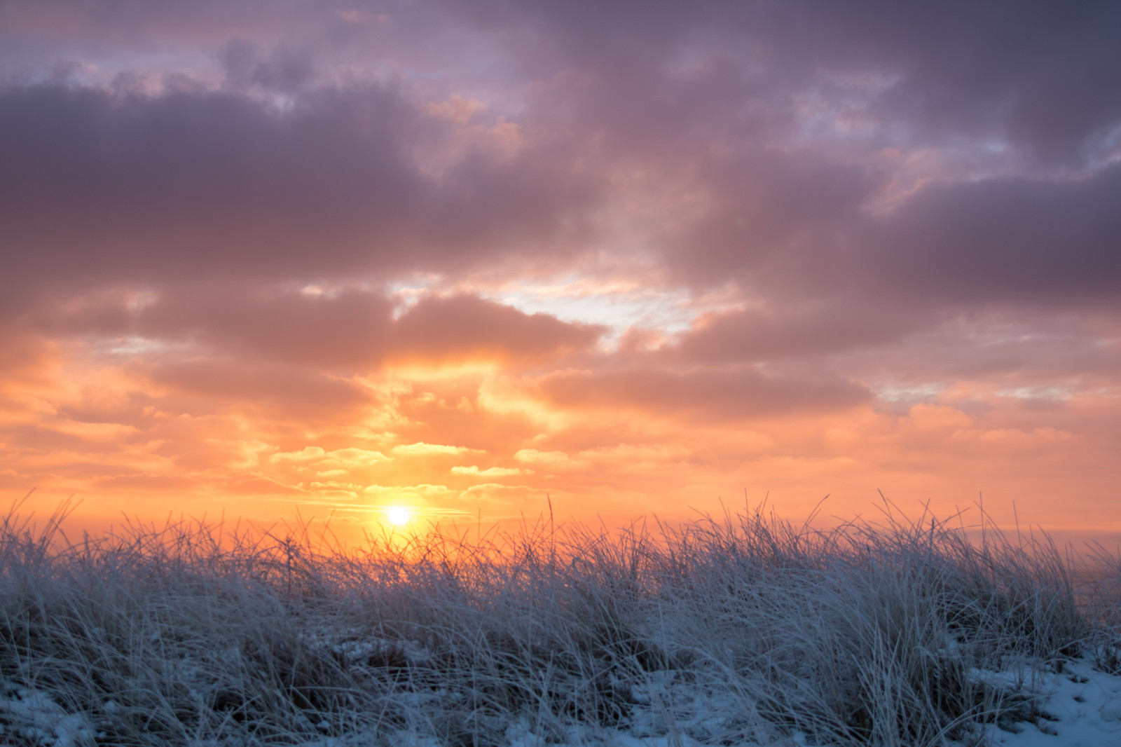 sollys, solnedgang, himmel, sne, vinter, solopgang, kold, aften, morgen, frost, Sol, horisont, atmosfære, skumring, rime, Sky, bjerg, vejr, daggry, vinter, Kallt, exif model canoneos760d, geocountry, kamera gør kanon, geocity, kameramodel canoneos760d, geostate, geolocation, exif linse efs18200mmf3556is, exif åbning 56, exif gøre kanon, exif isospeed 100, exif focallength 32mm, Skateholm, rimfrost, prærie, atmosfærisk fænomen, efterglød, rød himlen om morgenen
