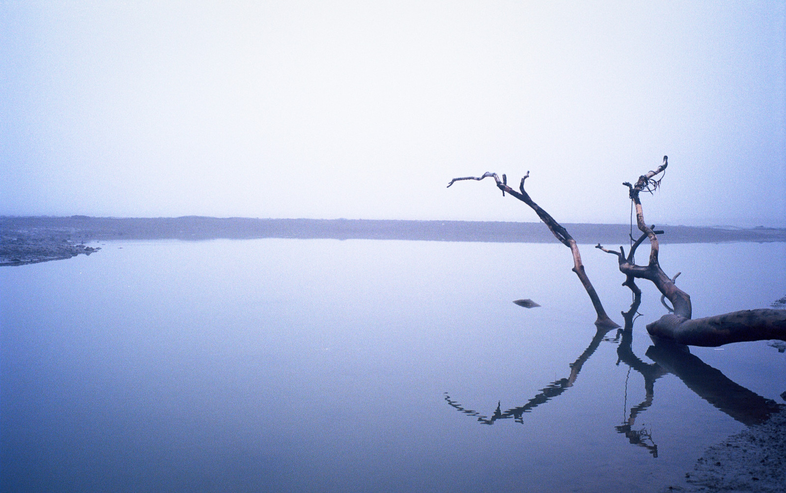 slunečnímu záření, západ slunce, moře, jezero, voda, Příroda, odraz, nebe, sníh, zima, větev, svítání, modrý, led, večer, ráno, mlha, pobřeží, horizont, soumrak, Leica, 35MM, fotoaparát značky kodak, strom, mlha, hora, svítání, oceán, film, nádrž, Korea, atmosférický jev, Atmosféra Země, tělo z vody, ektar100, deadtree, m7, summicroniv