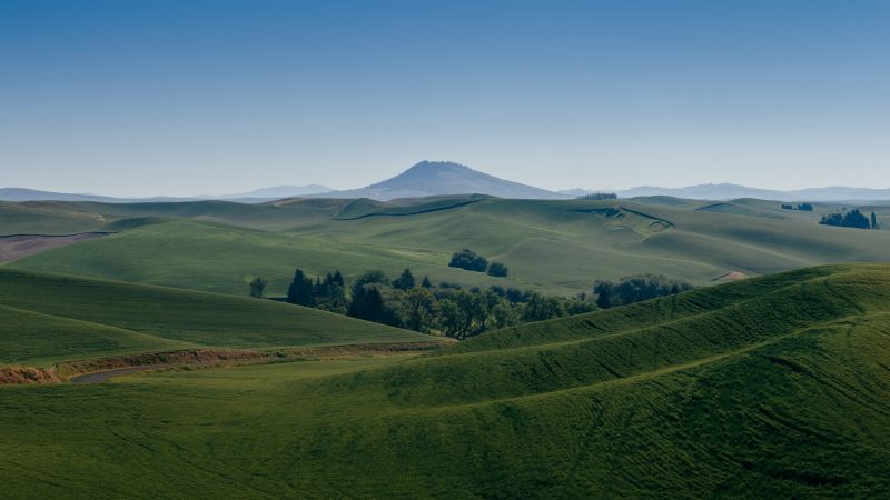 krajina, kopec, Příroda, tráva, ráno, pole krajina, kopec, Příroda, tráva, ráno, pole