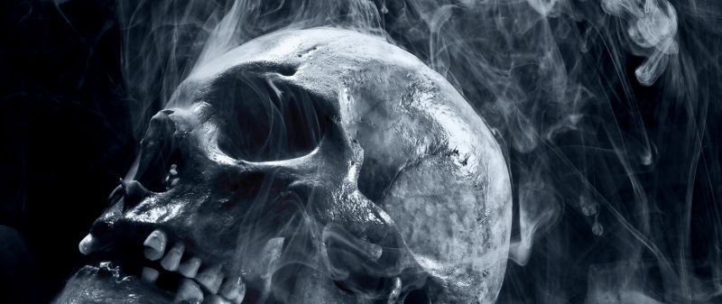 2560x1080 px,3D,crâne