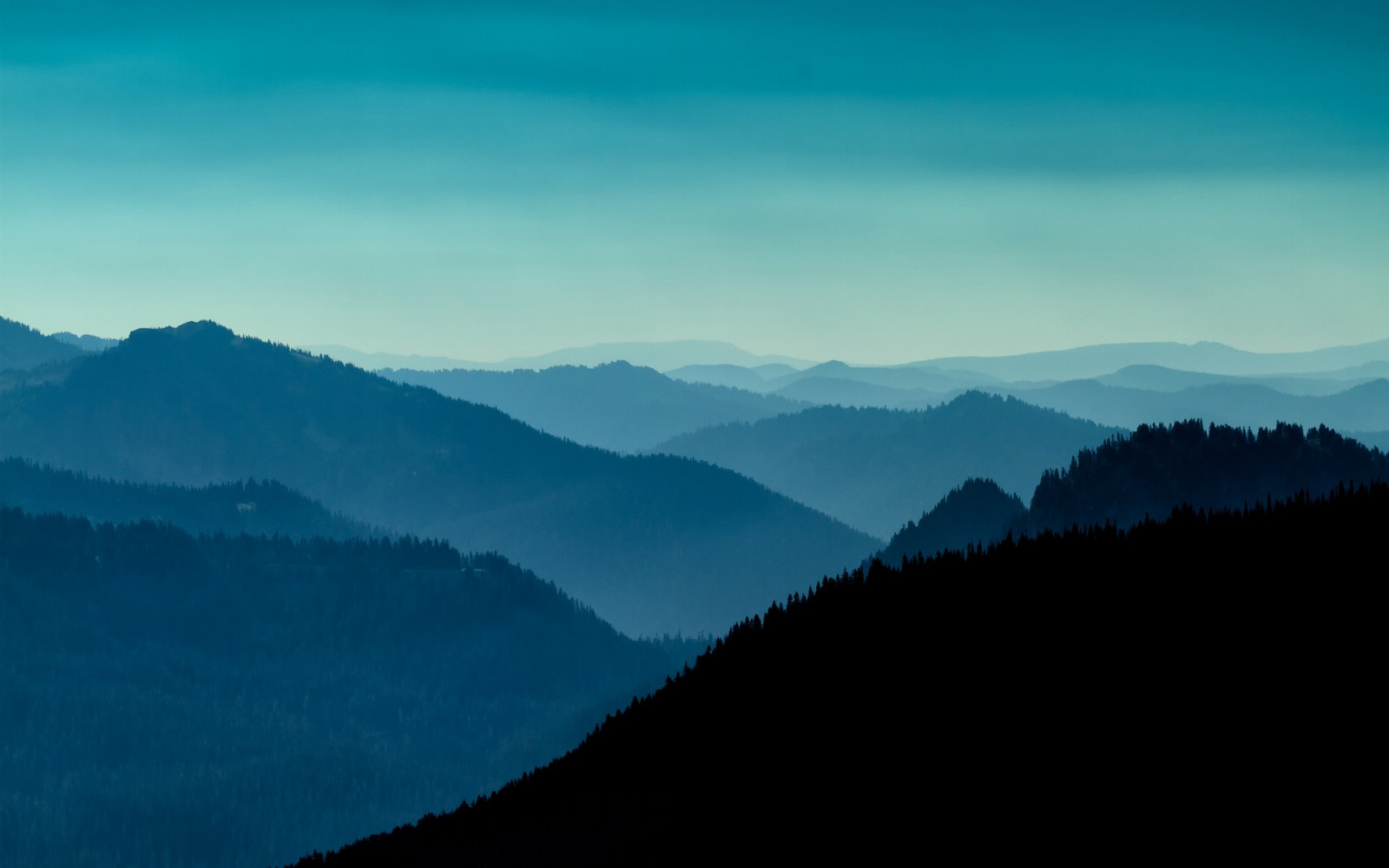 landschap, Bos, heuvel, natuur, hemel, silhouet, zonsopkomst, blauw, heuvels, avond, ochtend-, horizon, vallei, wildernis, schemer, Alpen, top, plateau, nok, wolk, berg-, dageraad, atmosferisch fenomeen, bergachtig landforms, landform, geografisch kenmerk, ecosysteem, bergketen