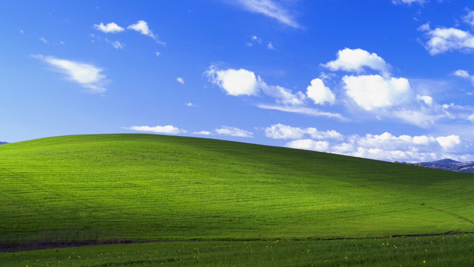 slunečnímu záření, krajina, zahrada, kopec, Příroda, tráva, nebe, pole, zelená, horizont, Windows XP, plošina, step, mrak, hora, lučina, pastvina, zemědělství, louka, prostý, trávník, prérie, venkov, místo výskytu, přírodní prostředí, horských reliéf, ekosystém, tráva rodina