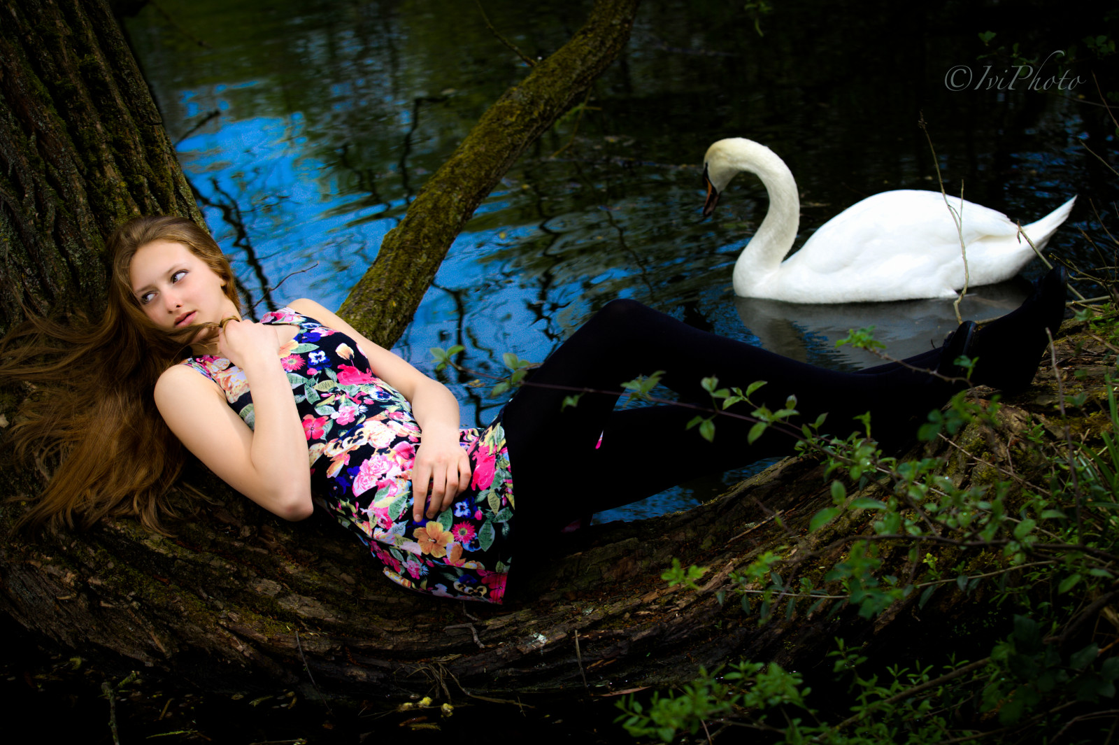 dívky, portrét, lidé, žena, dítě, bílý, květ, pták, oko, UMĚNÍ, milovat, dívka, Krásná, krása, tvář, udělat, móda, ptactvo, mlha, portréty, Kánon, temný, vlasy, de, fotografování, fotografie, model, oči, foto, řasy, řasy, nohy, modelování, tělo, unikátní, nádherný, femme, strach, noha, pokuta, modely, Pflanzen, makeup, profesionální, víla, šeřík, ii, portrétování, l, ret, 28, rtěnka, augen, melancholie, Frau, Fluss, program, auge, 70200, h Ile, melancholický, ivi, těžkomyslnost, sch n, k rper, llens, professionell, einzigartig, flowegirl, lobjektiv, malancholie, iviphoto, iviphotode, baumfee, ivifoto