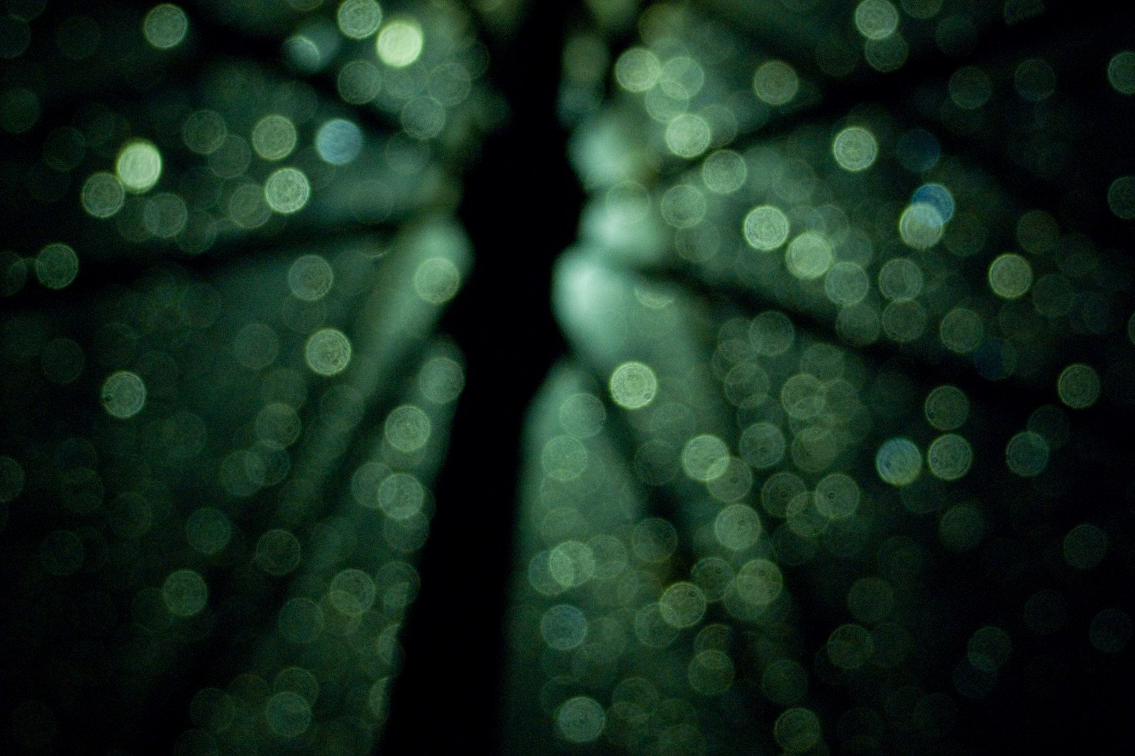 modrý, noc, bokeh, prozkoumat, procházka, ricoh, 2009, 365 dnů, Gx100