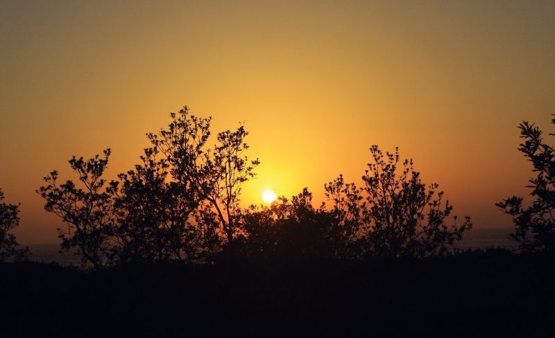 sunlight, landscape, sunset, nature, sky, plants sunlight, landscape, sunset, nature, sky, plants