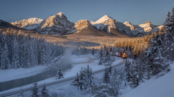 trees, landscape, forest, mountains, nature, snow