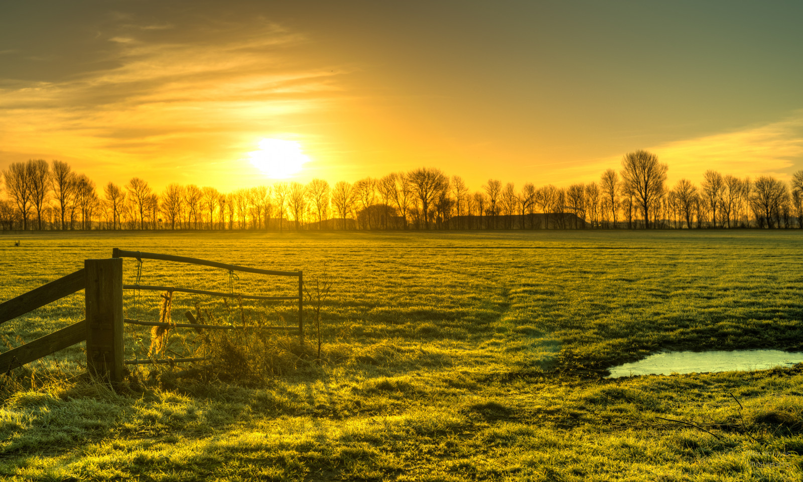 50mm, d5, HDR, Holandsko, hollandseluchten, nederland, Nizozemí, NIKKOR, nikkor50mm, Nikon, nikond5, noordholland, Nizozemí, westfriesland, baretrees, Krásná, krása, boerenland, Bomen, bomenrij, výložník, boomgrens, Buiten, buitenshuis, daglicht, denní světlo, polního, fieryskies, trávníky, kapesní, highdynamicrange, kalebomen, krajina, Landschap, licht, světlo, louka, louky, mooi, ráno, ochtend, orangeskies, venkovní, venku, polder, schoonheid, nebe, nebe, Skyfire, slunce, svítání, sunriselight, strom, treeline, stromy, teplý, Weiland, weilanden, zima, zon, zonsopgang