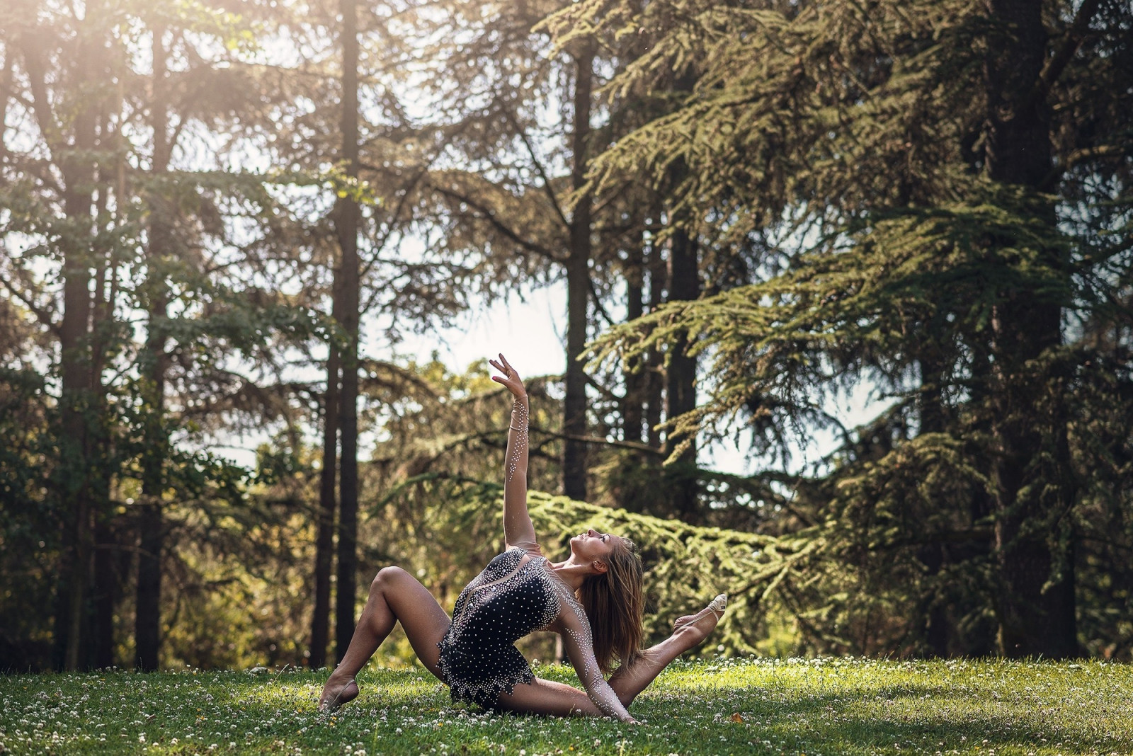 Donne nude nel bosco