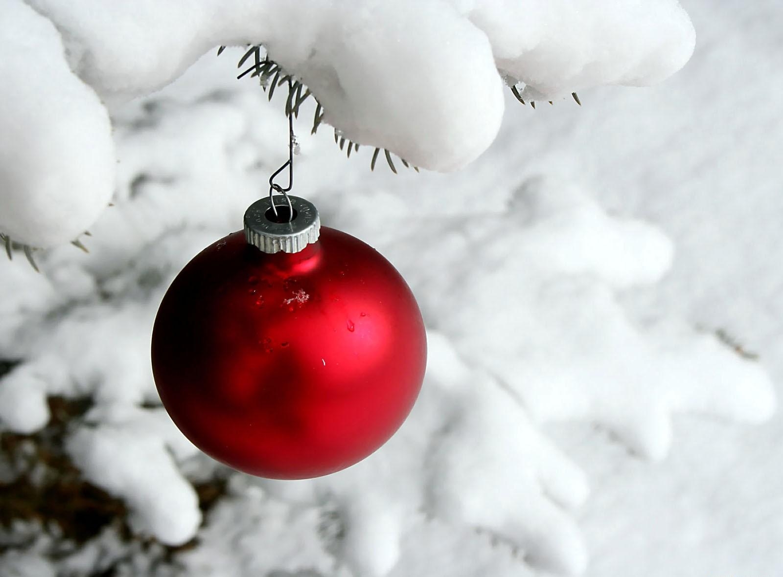 Wallpaper : christmas decorations, ball, hanging, snow, branch, needles