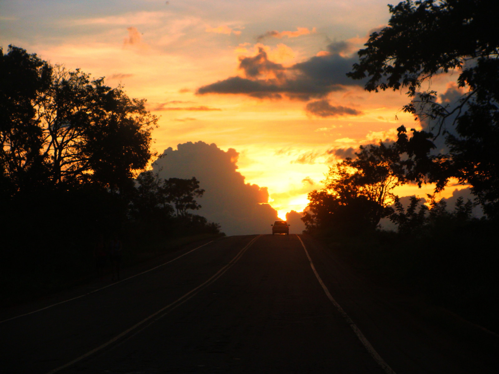 luce del sole, alberi, paesaggio, foresta, tramonto, cielo, strada, nuvole, Alba, sera, mattina, Sole, orizzonte, atmosfera, crepuscolo, Brasile, Brasil, nube, albero, alba, oscurità, cerrado, ultimi bagliori, cielo rosso al mattino, fenomeno meteorologico, Goias