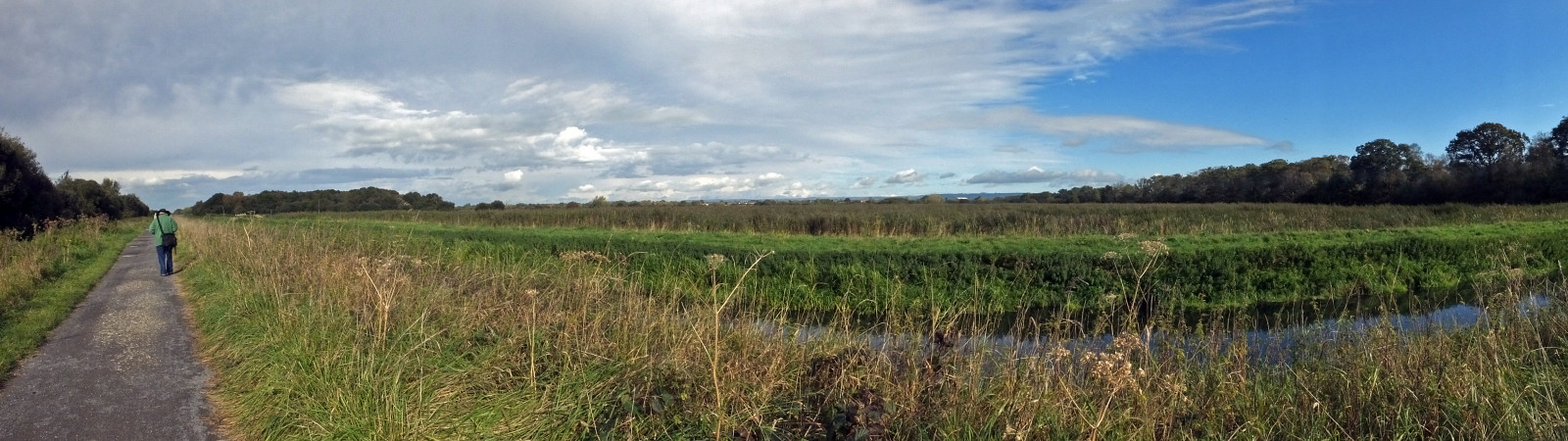 Příroda, krajiny, Panorámy, přemet, prozkoumat, Galerie, yolla, somersetlevels, inexplore, Váš názor, Shapwickheathnnr, Nnrs, Ashcottcornernnr