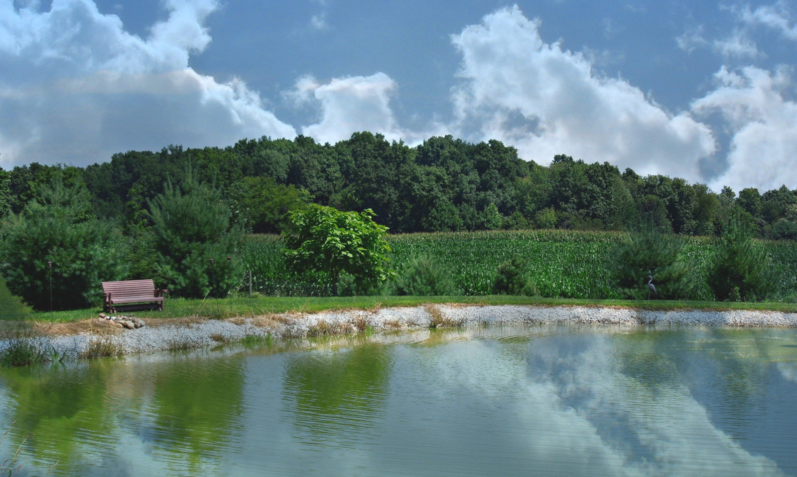 alberi, paesaggio, lago, acqua, natura, riflessione, cielo, nuvole, panchina, fiume, azienda agricola, stagno, giungla, Banca, paesaggio mount, riserva naturale, Ohio, zone umide, 2014, nube, albero, riflessi, agosto, benchmonday, i campi, alveo, vegetazione, serbatoio, estate, portagecountyohio, lago, area rurale, corso d'acqua, bioma, golena, brimfieldtownshipohio, risorse idriche, lacustrine plain
