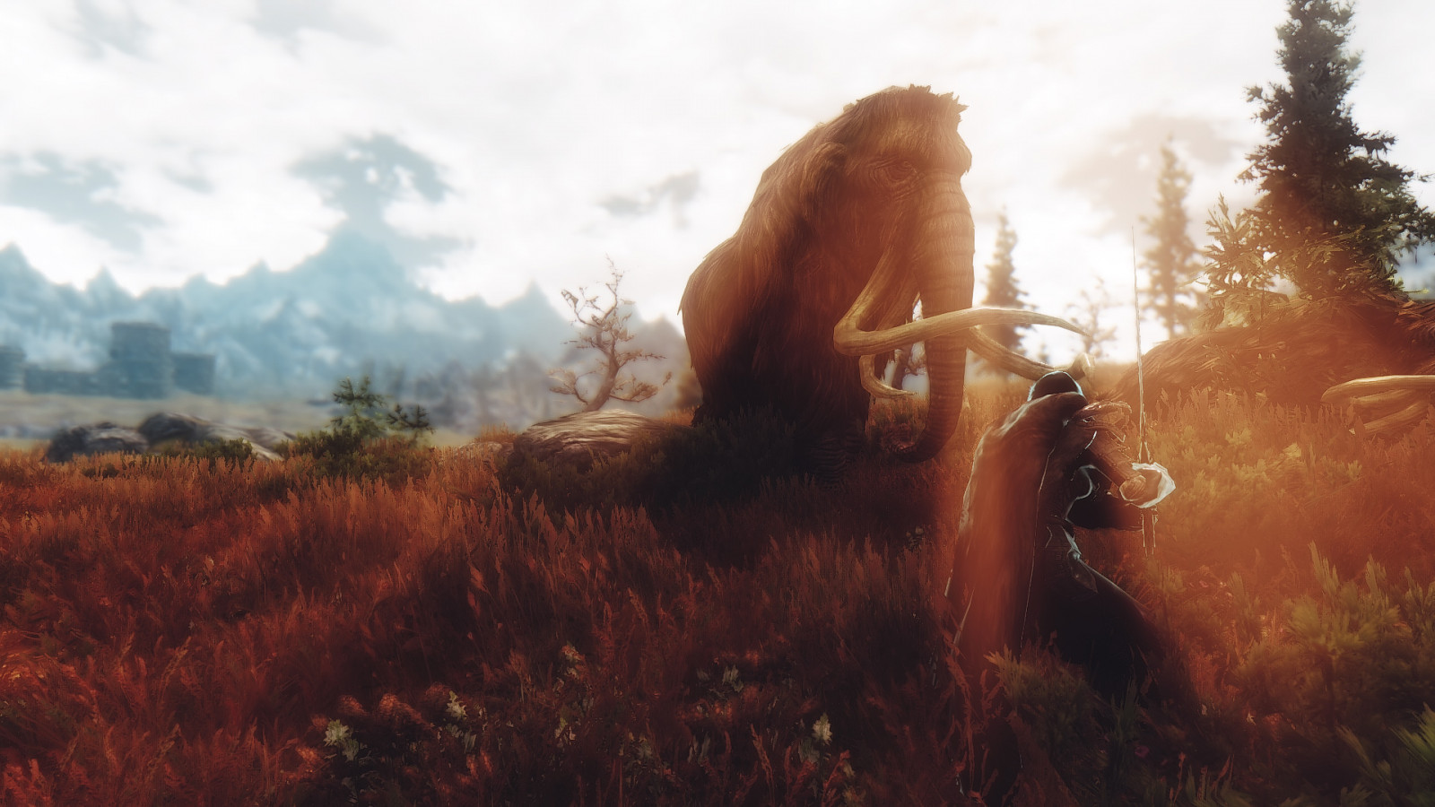 slunečnímu záření, krajina, kopec, tráva, nebe, pole, Volně žijících živočichů, divočina, tundra, step, strom, lučina, herní, Snímek obrazovky, pc, prérie, Skyrim, počítač tapeta, ekosystém, tráva rodina, savana, ekoregion, modding, mods, The Elder Scrolls, screenarchery, stock photography