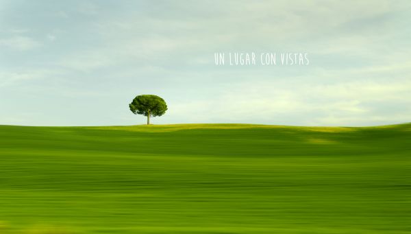 sky, sunlight, landscape, hill, nature, grass