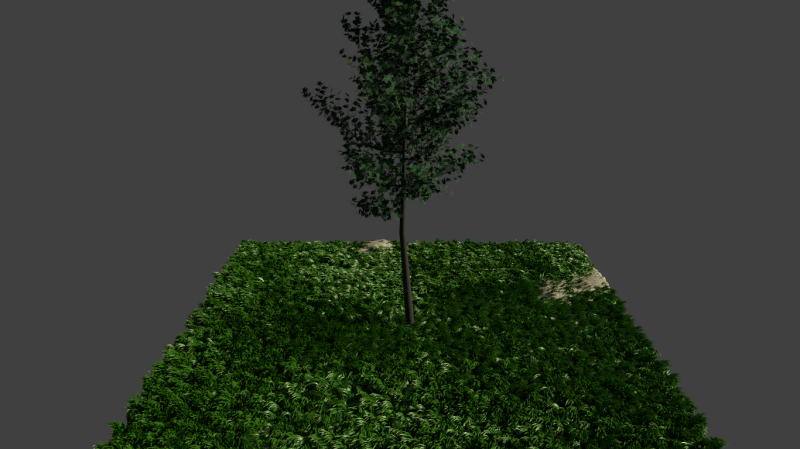 grass,Blender,green,Terrain,tree,leaf