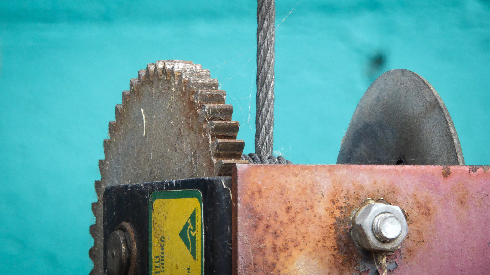 acqua, biologia marina