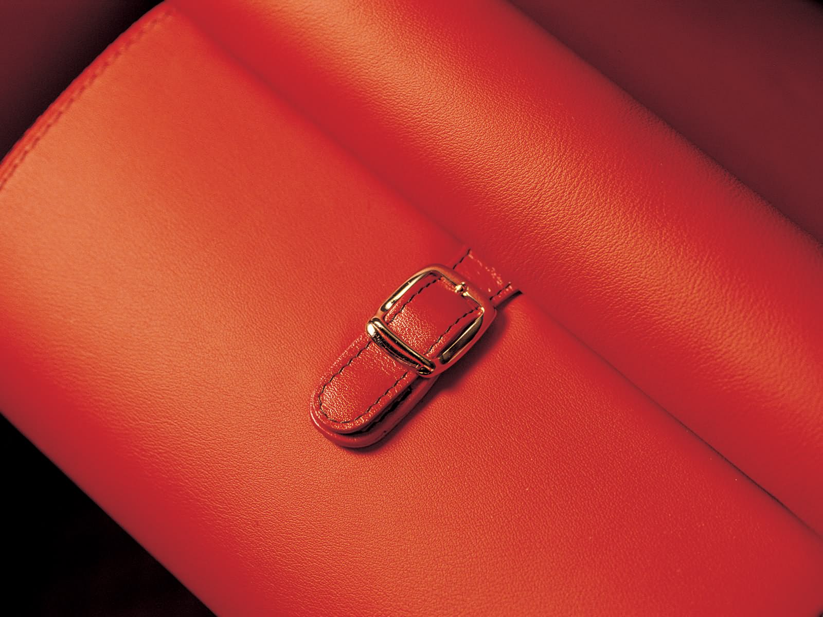 Červené, oranžový, kůže, růžový, značka, Pagani, purpurová, netcarshow, netcar, obrázky vozidel, photo auto, 2009, ruka, Zonda F, kabelka, módní doplněk, peněženka