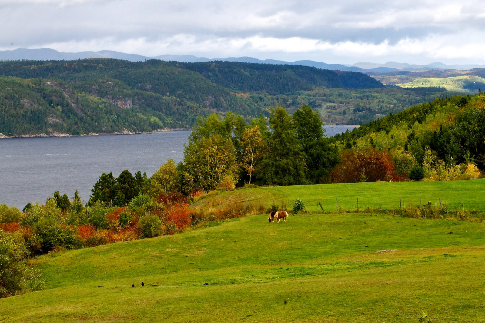 krajina, kopec, jezero, tráva, Kánon, Kanada, fjord, divočina, Quebec, plošina, 2012, strom, podzim, hora, lučina, pastvina, louka, automne, prostý, nádrž, vysočina, prérie, Saguenay, que bec, rivie re, saguenaylacsaintjean, jezero, Chicoutimi, normandgaudreault, venkov, místo výskytu, horských reliéf, geografický rys, ekosystém, pohoří, t3
