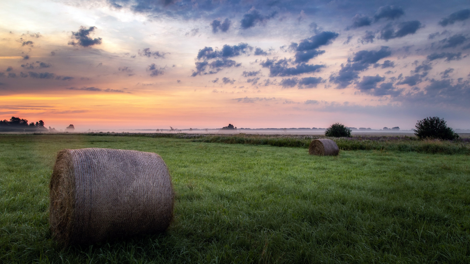 mrak, nebe, rostlina, atmosféra, ekoregion, Natural landscape, slunečnímu záření, pozemek pozemek, zemědělství, atmosférický jev, tráva, soumrak, svítání, lučina, strom, kupa, krajina, západ slunce, prostý, horizont, odlesk, louka, Tints and shades, tráva rodina, prérie, dřevo, kopec, kruh, pastvina, pole, svítání, divočina, step, večer, červená obloha v dopoledních hodinách, meteorologický jev, seno, oříznutí, Skála, purpurová, sláma, sklizeň, silnice, oceán, savana, hospodařit, políčko, stín, ranč