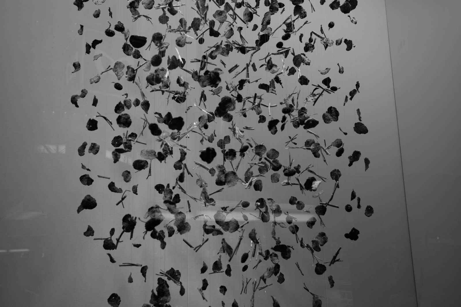 Japonsko, bílý, Černá, černobílý, stěna, textura, kruh, Leica, Tokio, M, jp, list, tělesné, tvar, čára, stádo, Ginza, Summicron, summicron235, 235, leicam, typ240, číslo, Černý a bílý, monochromatické fotografování