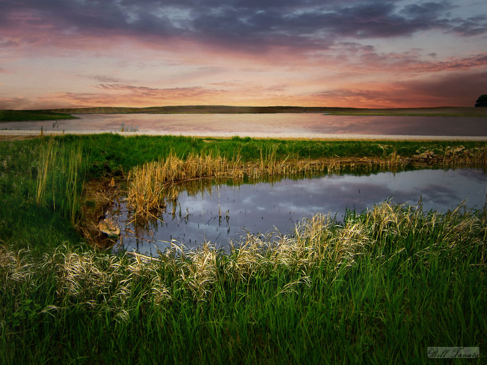 Severní Dakota, krajina, voda, rybník, tráva, venkovský, prérie, pláně, ourtoors