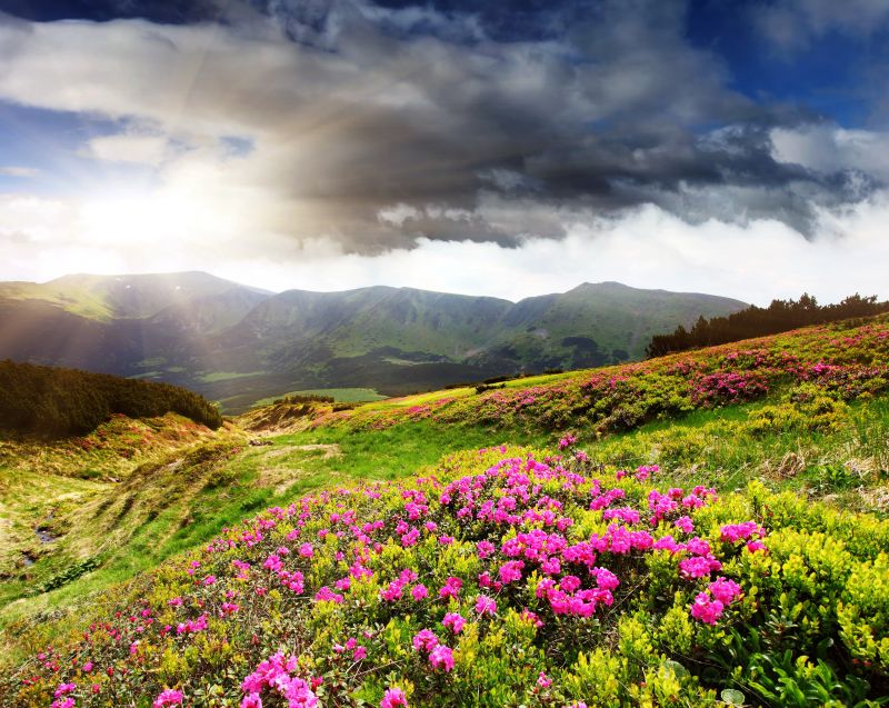 slunečnímu záření, krajina, kopec, Příroda, tráva, nebe slunečnímu záření, krajina, kopec, Příroda, tráva, nebe