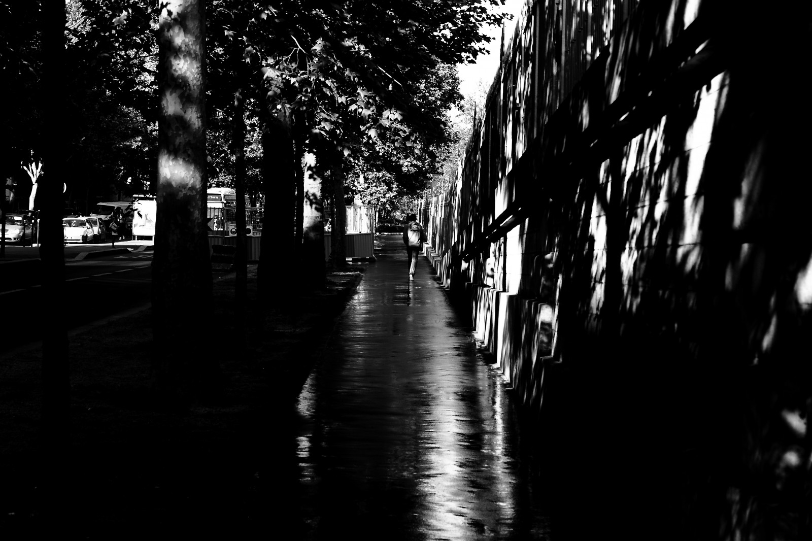 slunečnímu záření, pouliční osvětlení, Černá, černobílý, ulice, noc, voda, městský, odraz, nebe, stín, fotografování, větev, večer, atmosféra, Paříž, metro, Noir, půlnoc, světlo, strom, rostlina, Street View, tma, ville, litovat, reflets, noiretblanc, blackandwithe, photoderue, momentka, urbanarte, Lumiere, paris13, photopascalcolin, karetní hra, Černý a bílý, monochromatické fotografování, dřevina, kráčející, lumi rematinale, Pieton, Brillant, trottoir, contrastes, mouill, Bulevardvincentauriol, Vlhké, Lelongdum tro